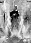 Andre 1